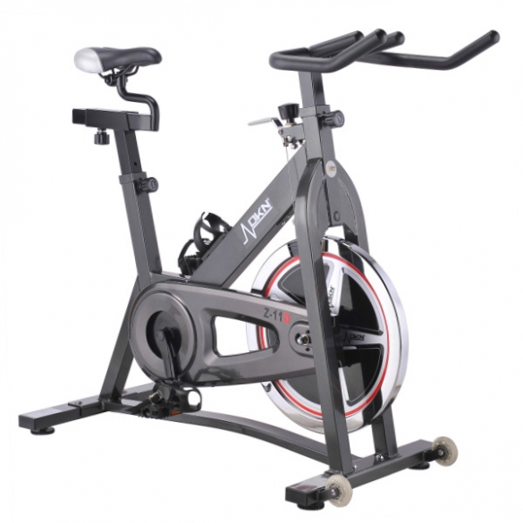 DKN speedbike Z-11D 20089